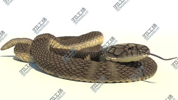 images/goods_img/20210312/3D model King Cobra Rigged Animated/3.jpg